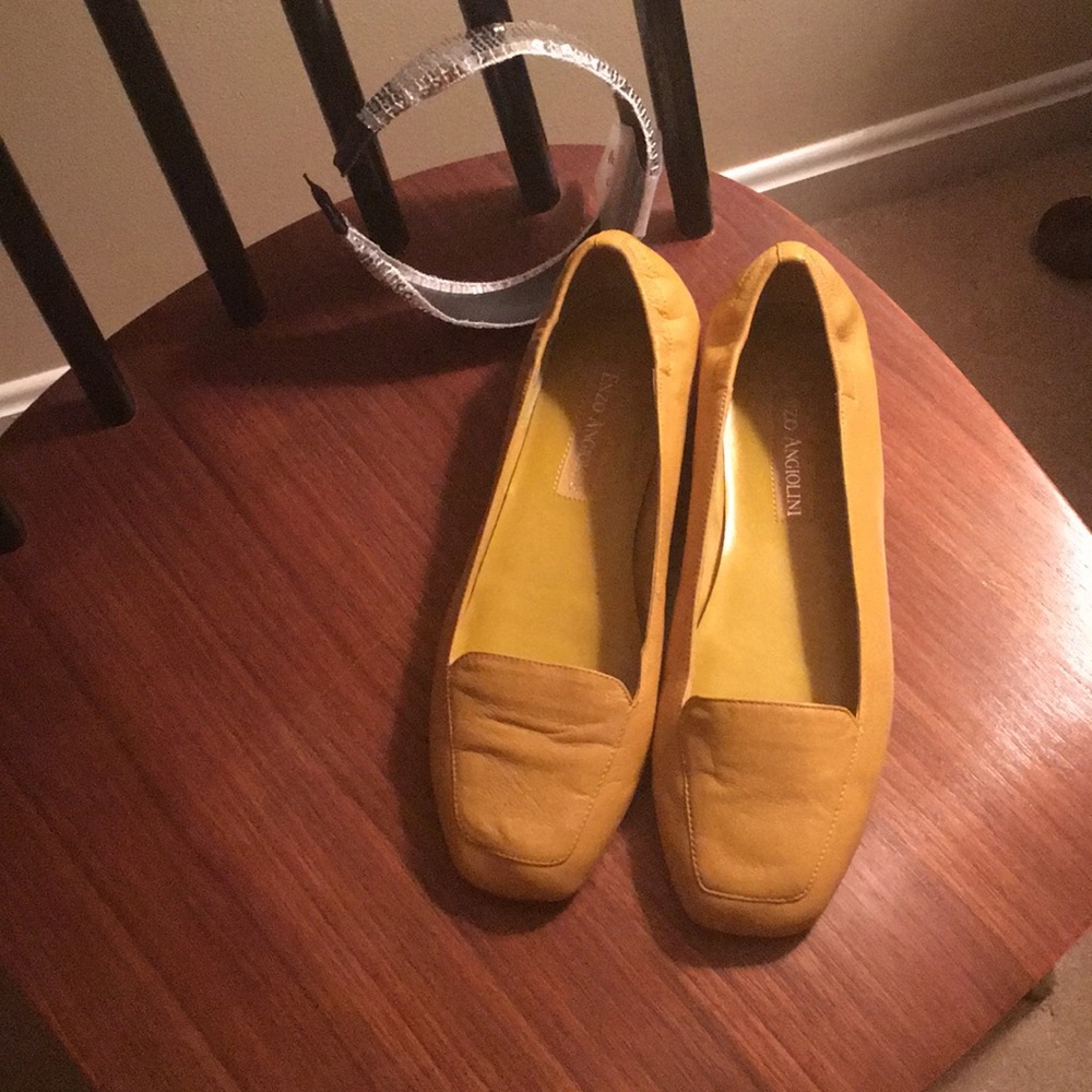 Shoes ( Enzo Angiolini )